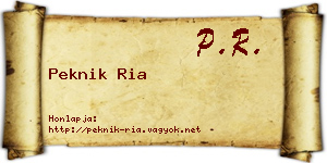 Peknik Ria névjegykártya